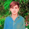 malik.hasnain.025