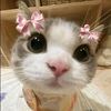 zahraaaaaaa_rorrr8