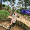 chrysralenechaedc