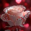 tahir.javed380
