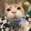 aly_blu3sy