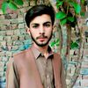 kashifmehmood799