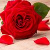 mrad_miho