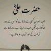 salimkhan67399