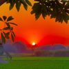 ❤️🦅🌴میرا سوہنا پنجاب 🌴🦅❤️