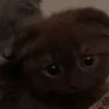 masha_kotik257