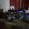 liya650