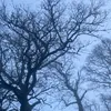 nella.bergman_