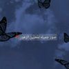 malak.malek4384
