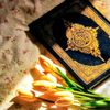 hamza12345098755fsdgfz