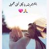 hashemalnkeb