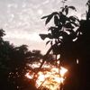 choirulanwar4260