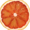arjpsl1