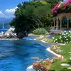 user72390306791794