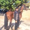 user8082241282439