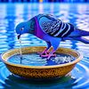 abdul.shakoor.mult