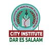 cityinstitute_dsm