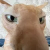 idiotka.e