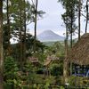 wahyu.indra65