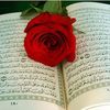 user8207811560295