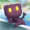 blackcat5001