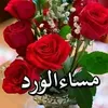 user713380073617