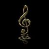 dholo_fx