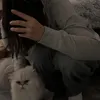 milanahnvr