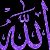 699563ali