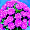 alwardaalbedaa7