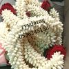 zyydabdh.arag