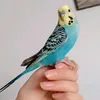 huda.hussein.14