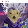 genarofp09