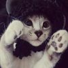 ginger_againagain