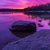 zin_2334
