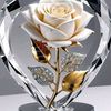 user1225142458600