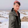 hassib.sarvari