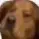brrbrrpatapim_coolgamer