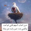 user8112005376762