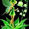 user6119724083462