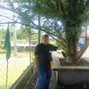 dodong64878