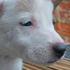 ellie3e1