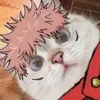 .flavi1