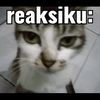 rafa.ajah956