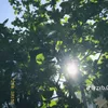 hangdong5b.ne_ctee