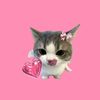 hiipinks