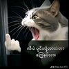 kokozaw32144