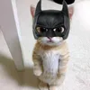 kenrhuarrr
