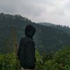 rafi.priambudi