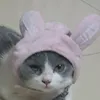 chanh_niee